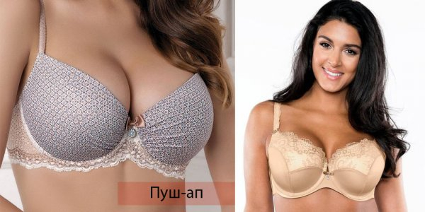 Виды женского нижнего белья
Виды женского нижнего белья