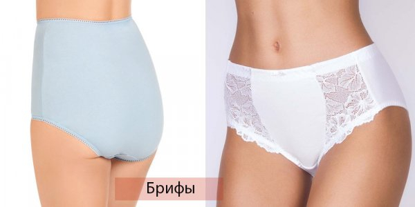 Виды женского нижнего белья
Виды женского нижнего белья