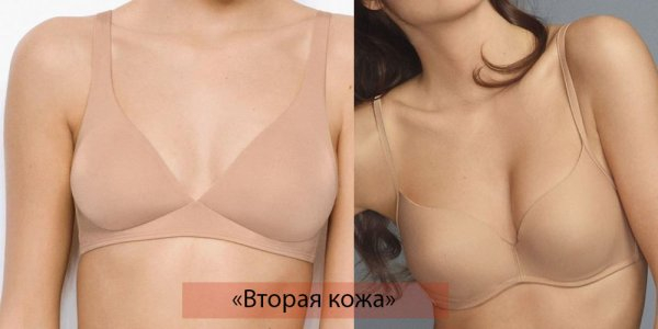 Виды женского нижнего белья
Виды женского нижнего белья