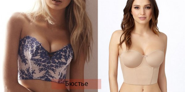 Виды женского нижнего белья
Виды женского нижнего белья