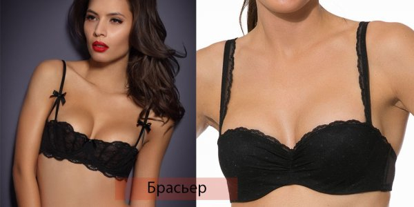 Виды женского нижнего белья
Виды женского нижнего белья