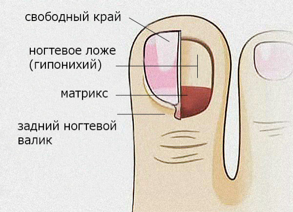 Педикюр в домашних условиях
Педикюр в домашних условиях
