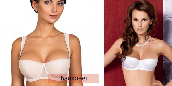Виды женского нижнего белья
Виды женского нижнего белья