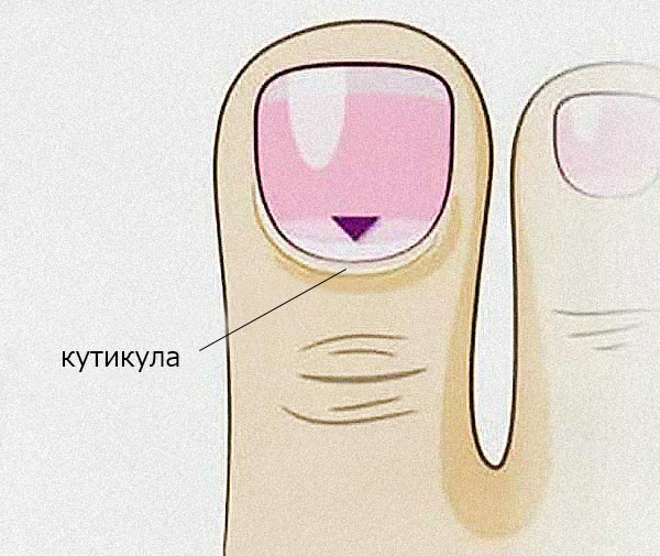 Педикюр в домашних условиях
Педикюр в домашних условиях